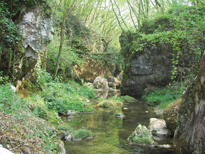 Riserva Naturale Regionale “Sorgente Funtanì” Riserva Naturale Regionale “Sorgente Funtanì”